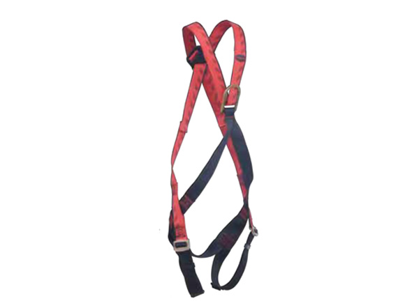 Full Body Harness (class d)