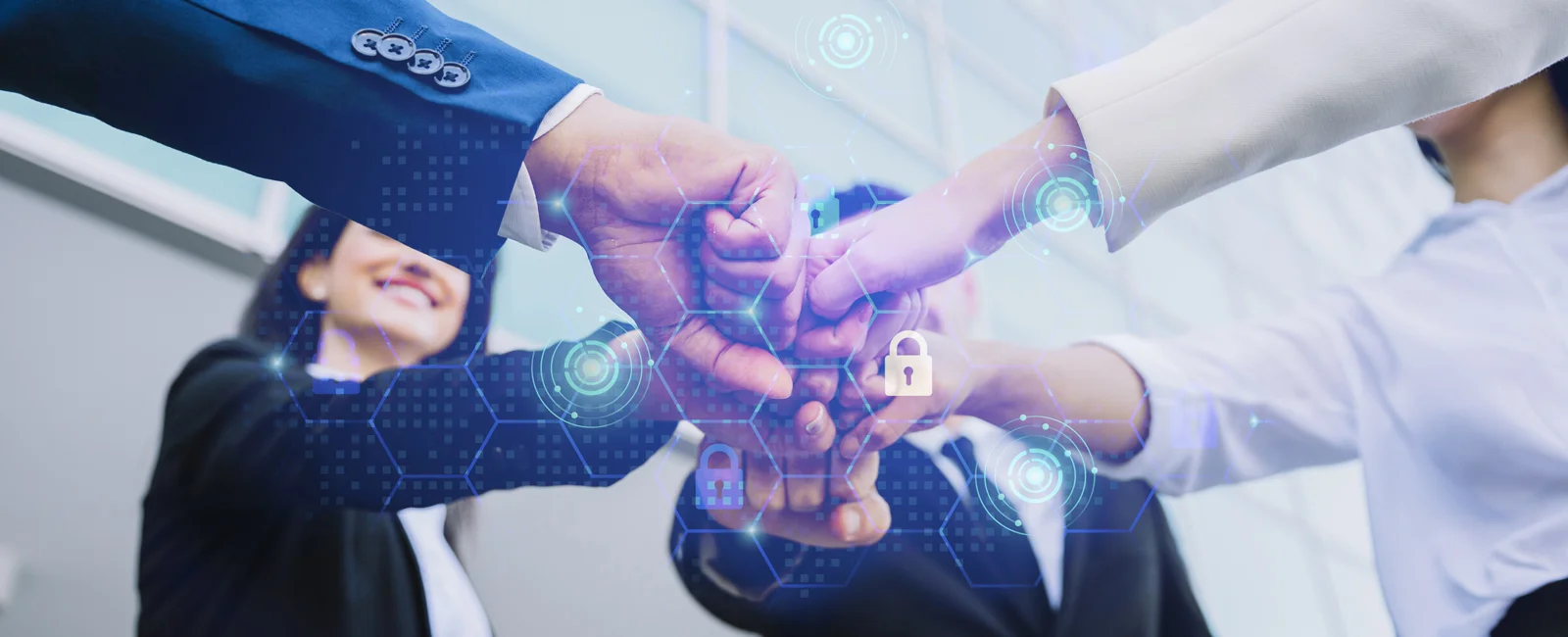 Terms and Conditions